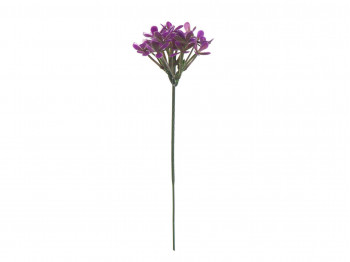 flowers MAGAMAX E4-F FOREST VIOLET(B210)