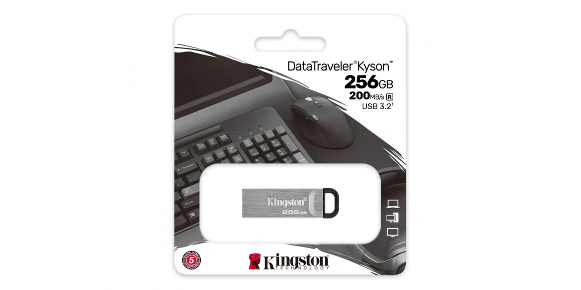 флеш накопители KINGSTON DTKN/256GB