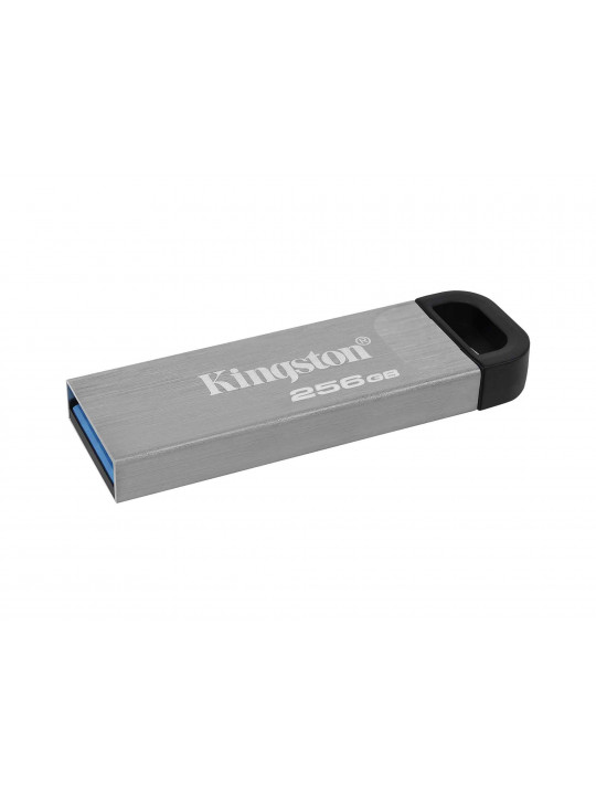 flash drive KINGSTON DTKN/256GB