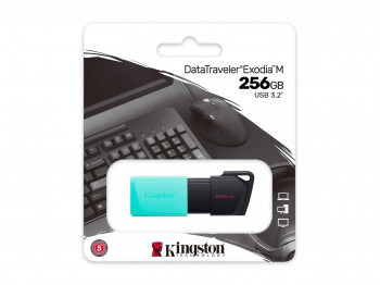 flash drive KINGSTON DTXM/256GB