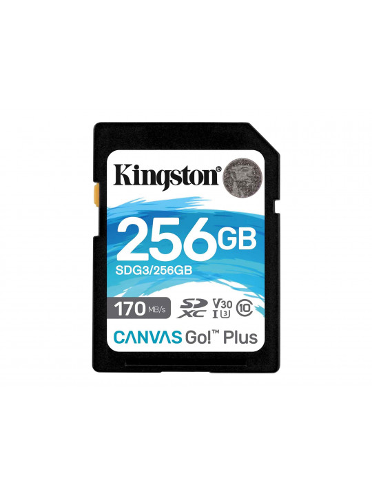 memory card KINGSTON SD SDG3/256GB