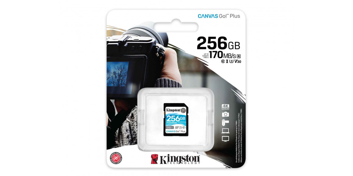 memory card KINGSTON SD SDG3/256GB