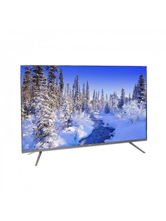 tv SKYWORTH 55G66G