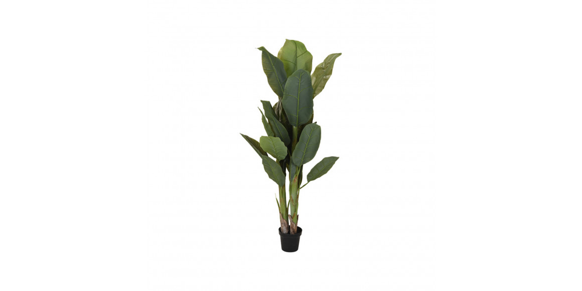 decorate objects KOOPMAN PALNT IN POT 165CM (963830)
