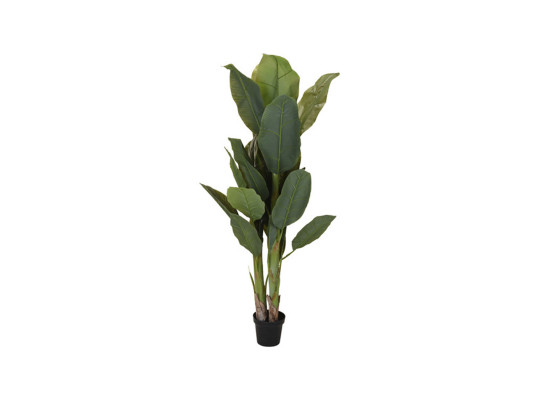 decorate objects KOOPMAN PALNT IN POT 165CM (963830)