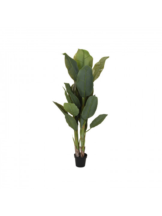 decorate objects KOOPMAN PALNT IN POT 165CM (963830)
