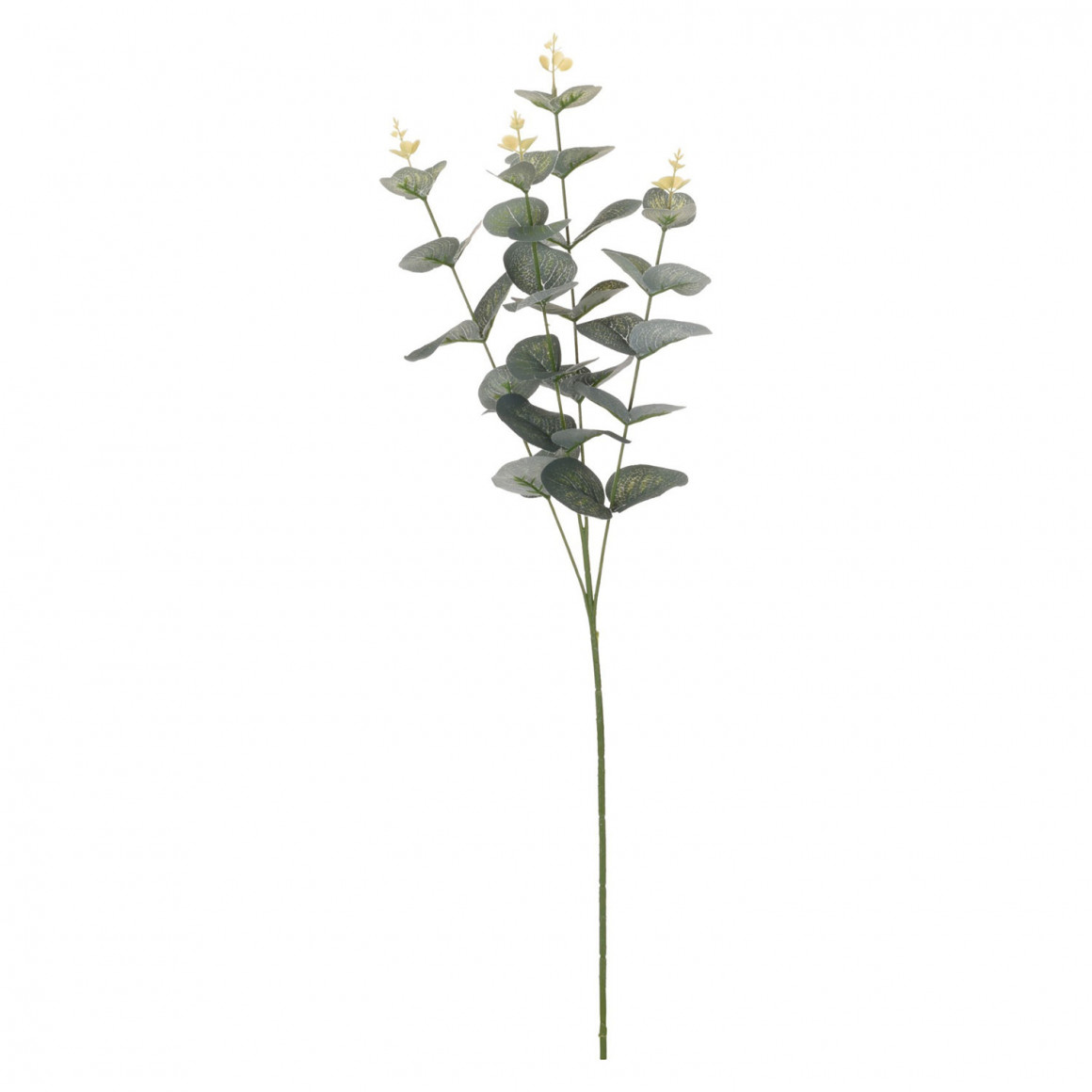 цветы KOOPMAN EUCALIPTUS 70CM (971217)
