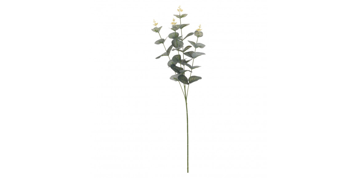 flowers KOOPMAN EUCALIPTUS 70CM (971217)