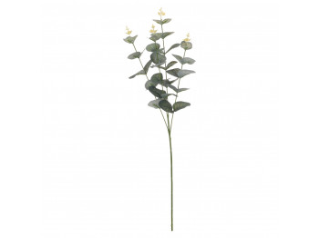 flowers KOOPMAN EUCALIPTUS 70CM (971217)