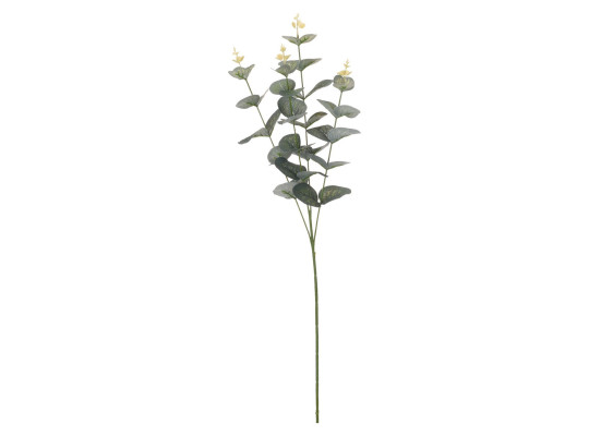 flowers KOOPMAN EUCALIPTUS 70CM (971217)
