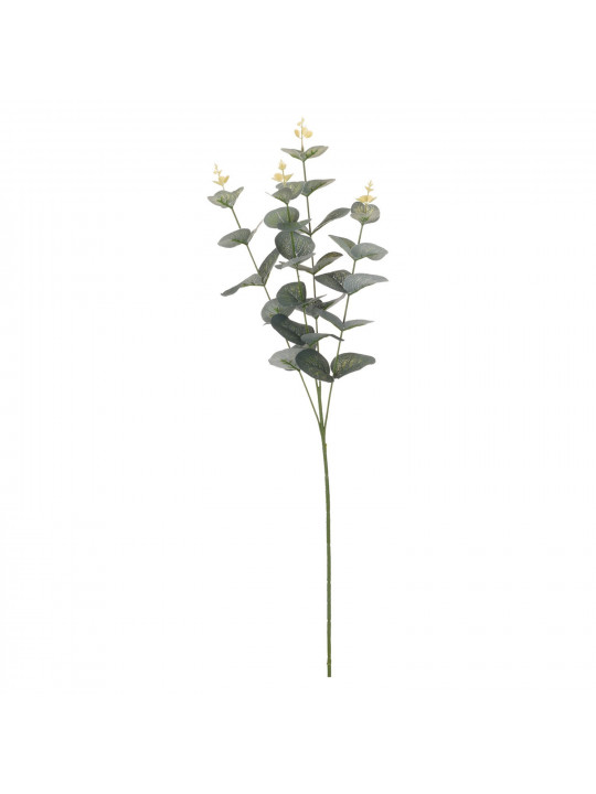 flowers KOOPMAN EUCALIPTUS 70CM (971217)