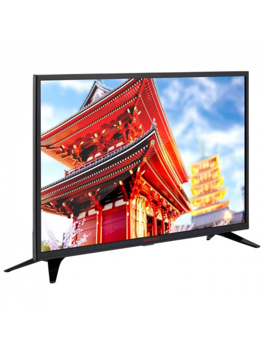 ტელევიზორი SHIVAKI S43MF1300