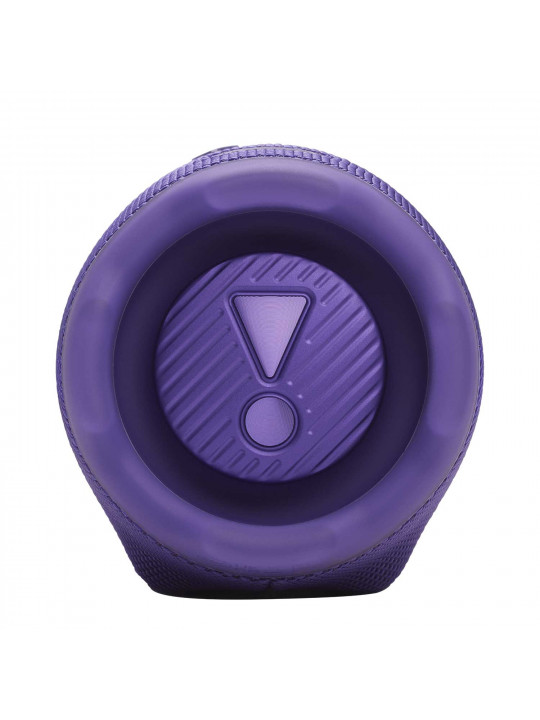 bluetooth speaker JBL Charge 6 (Purple)