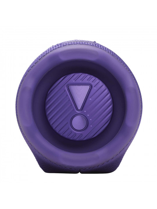 bluetooth speaker JBL Charge 6 (Purple)