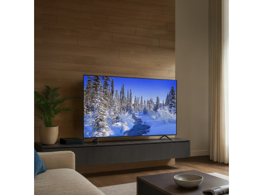 tv SKYWORTH 55G66G