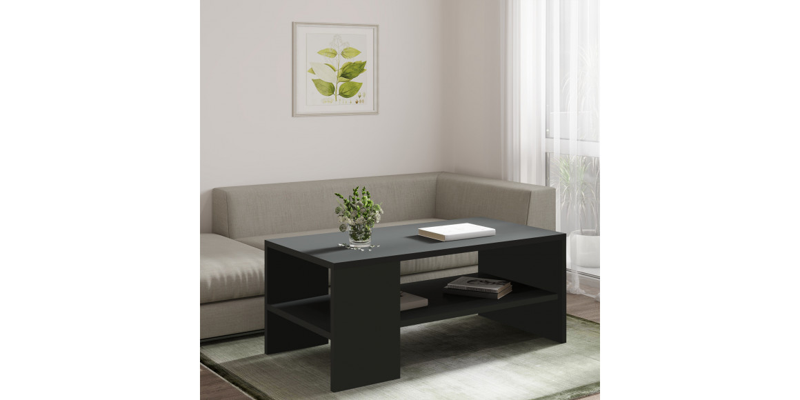 coffee table HOBEL EX-B10 0164 (1)