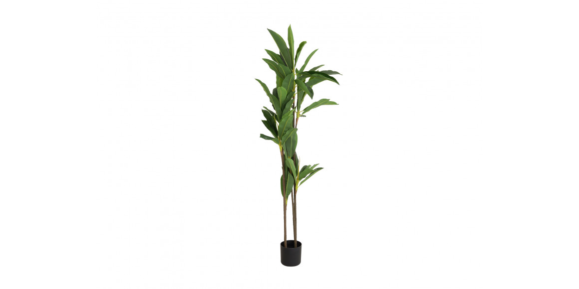 decorate objects KOOPMAN ARTIFICIAL DRACAENA 175CM