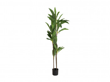 декоративные акссесуары KOOPMAN ARTIFICIAL DRACAENA 175CM