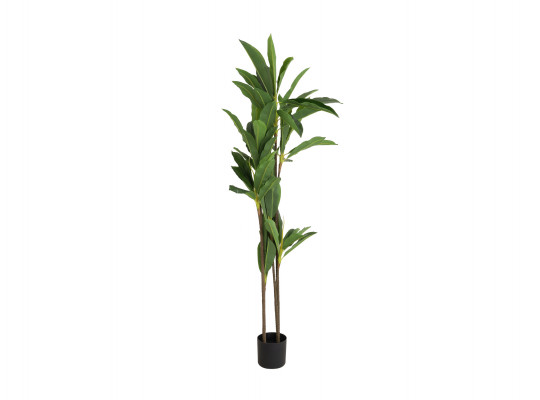 decorate objects KOOPMAN ARTIFICIAL DRACAENA 175CM