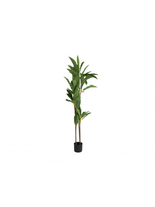 декоративные акссесуары KOOPMAN ARTIFICIAL DRACAENA 175CM