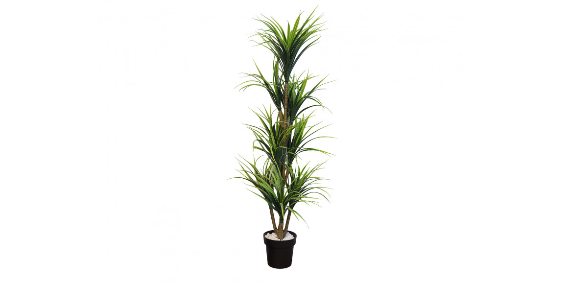 decorate objects KOOPMAN PALNT ARTIFICIAL YUCCA 150CM