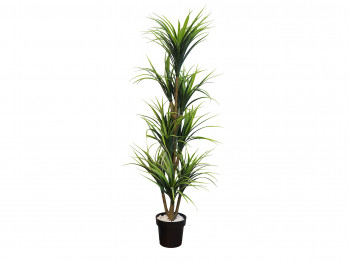 decorate objects KOOPMAN PALNT ARTIFICIAL YUCCA 150CM