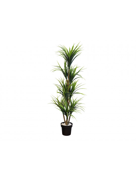 decorate objects KOOPMAN PALNT ARTIFICIAL YUCCA 150CM