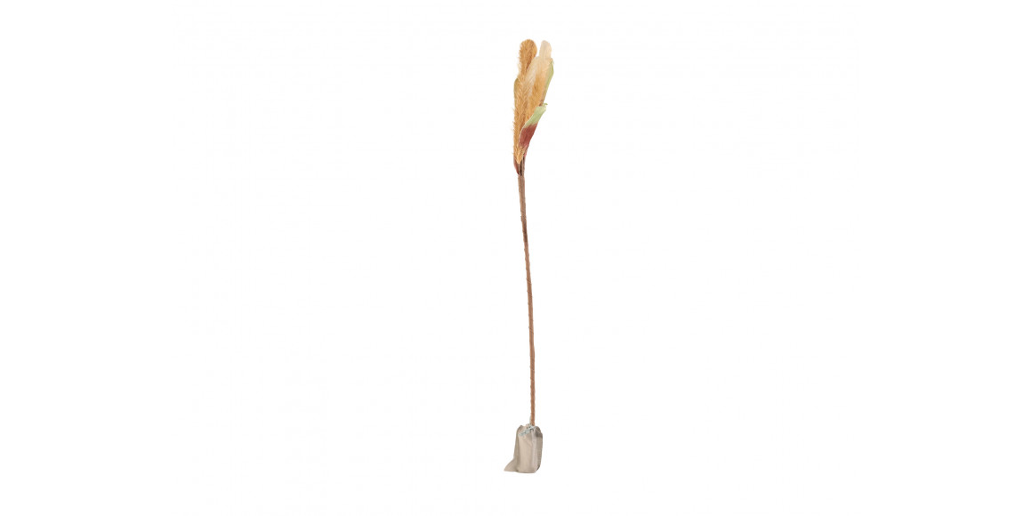 decorate objects KOOPMAN PAMPAS GRAS WITH LED 120CM WHITE