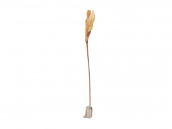 decorate objects KOOPMAN PAMPAS GRAS WITH LED 120CM WHITE