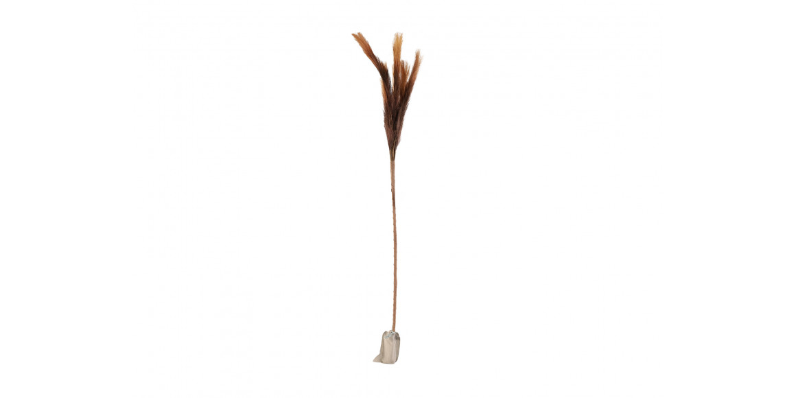 decorate objects KOOPMAN PAMPAS GRAS WITH LED 90CM BROW