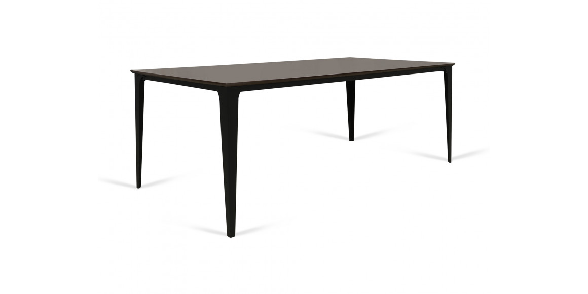 dining table HOBEL AMBER 100x200 (3)