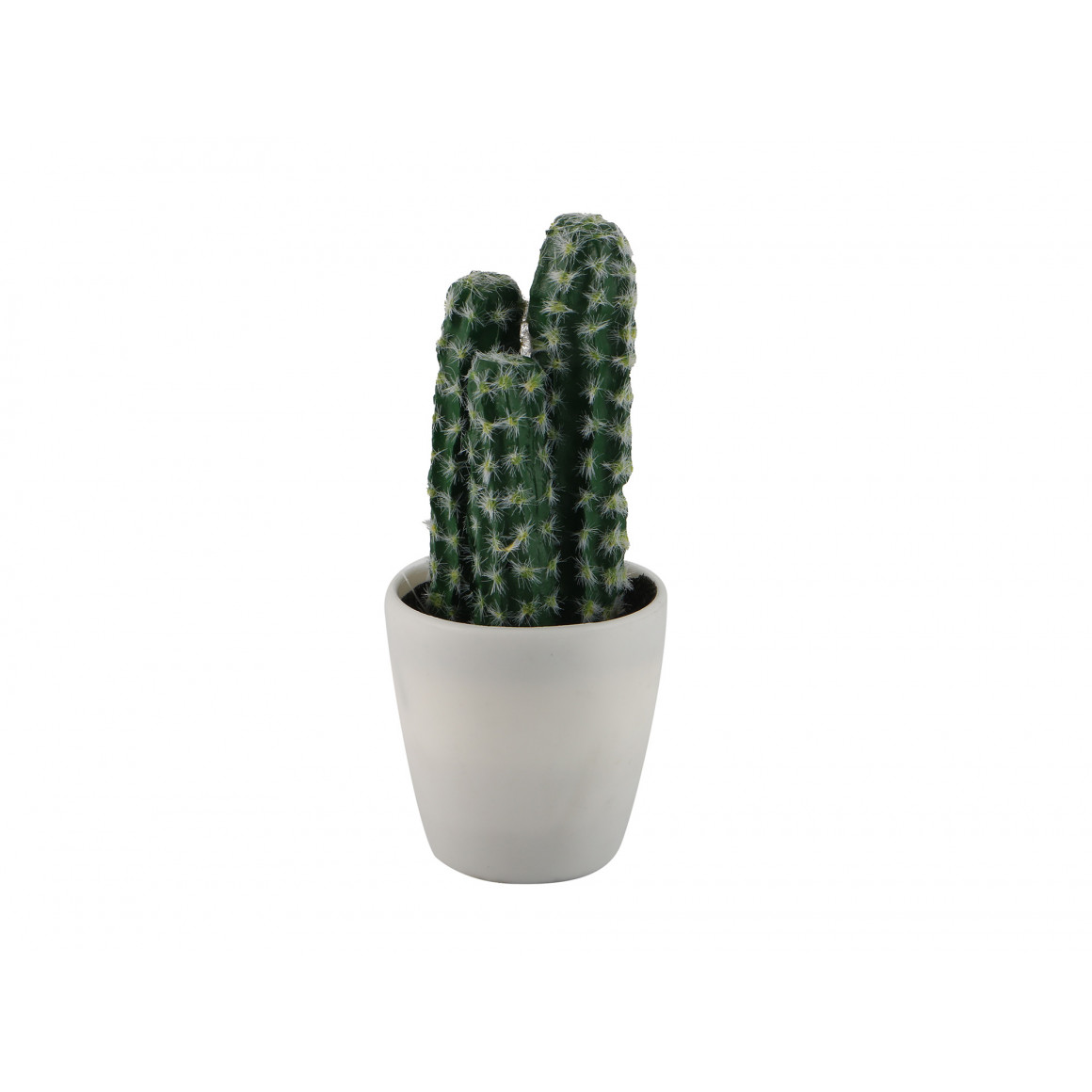 цветы KOOPMAN PLANTS IN WHITE POT 12ASS