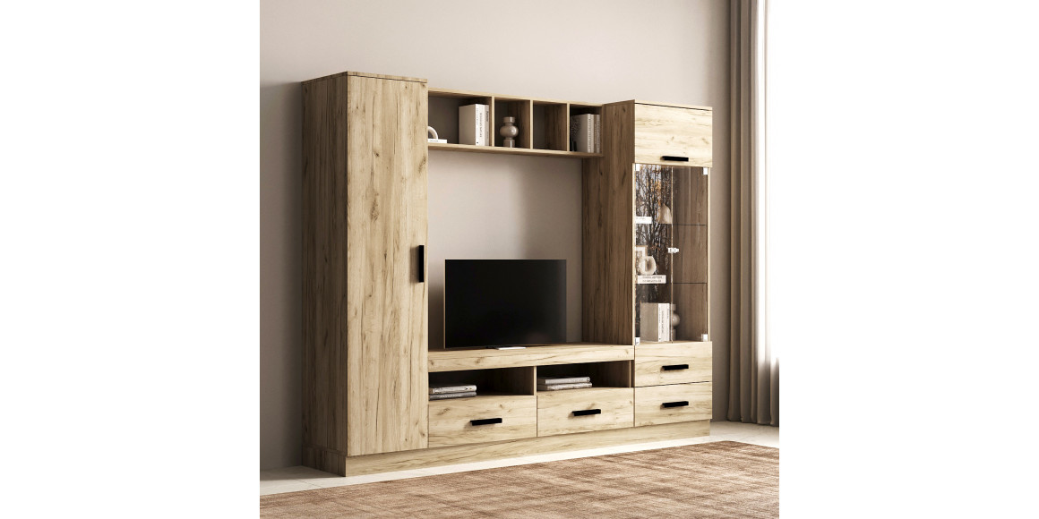 ტვ კედელი HOBEL N09 CL/03 K002 (8)