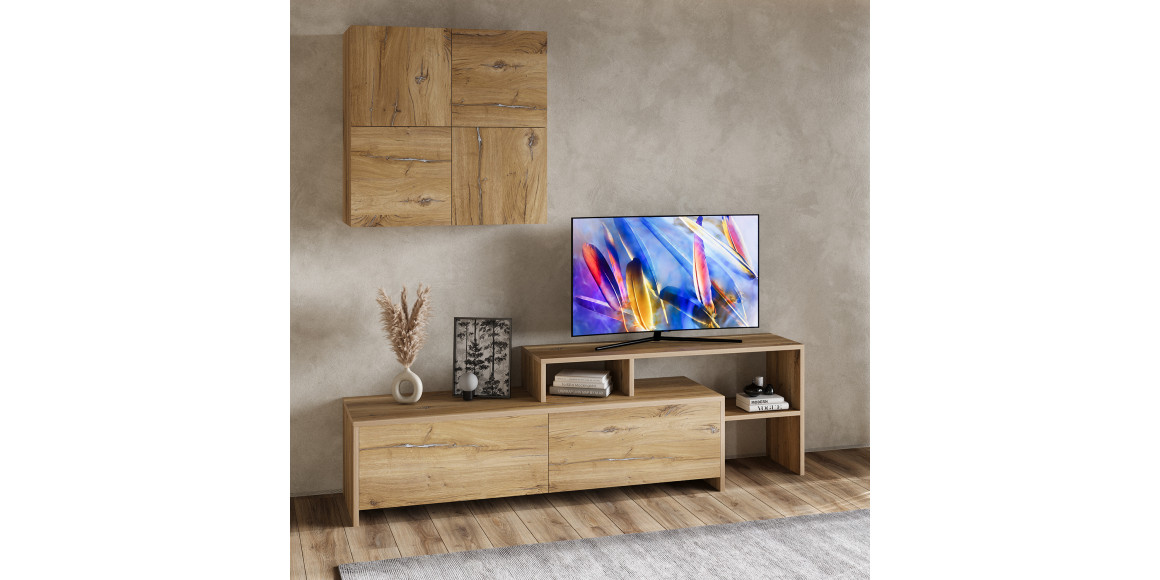 ტვ კედელი VEGA TV MODULE X36 BS 392 (4)