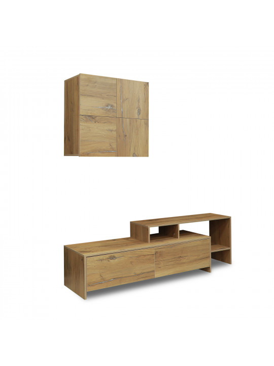 tv unit VEGA TV MODULE X36 BS 392 (4)