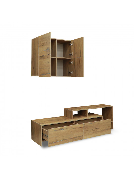 tv unit VEGA TV MODULE X36 BS 392 (4)