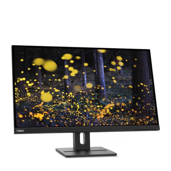 მონიტორი LENOVO 62D0GAT1EU