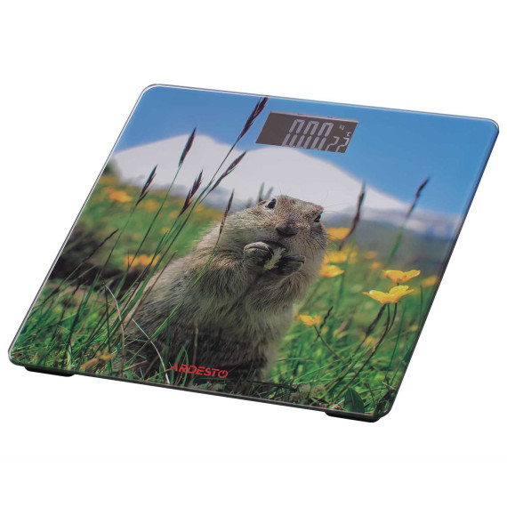 სასწორი ARDESTO SCB-965MARMOT