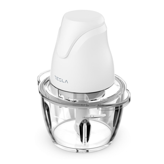 ბლენდერი TESLA FC302W