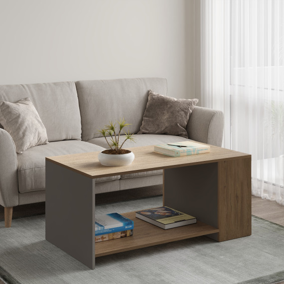 ჟურნალის მაგიდა HOBEL EX-E44 K544/BS 687 (2)