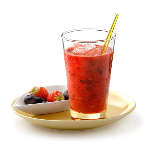 ბლენდერი PHILIPS HR2105/00