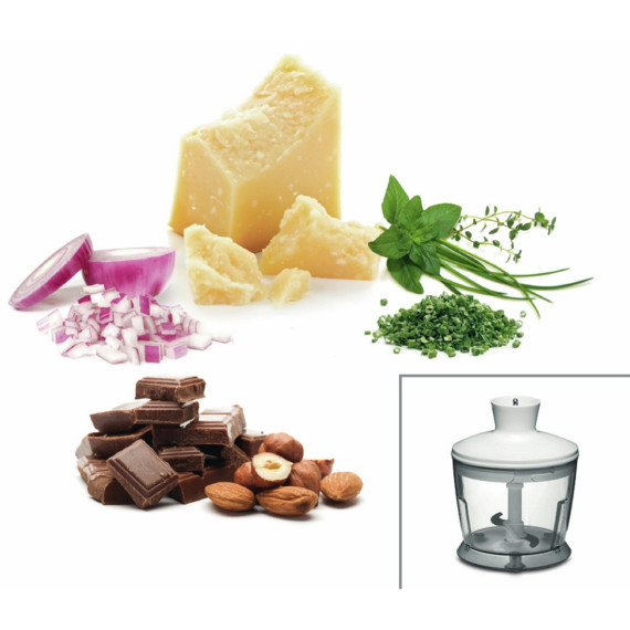 hand blender BOSCH MSM24500