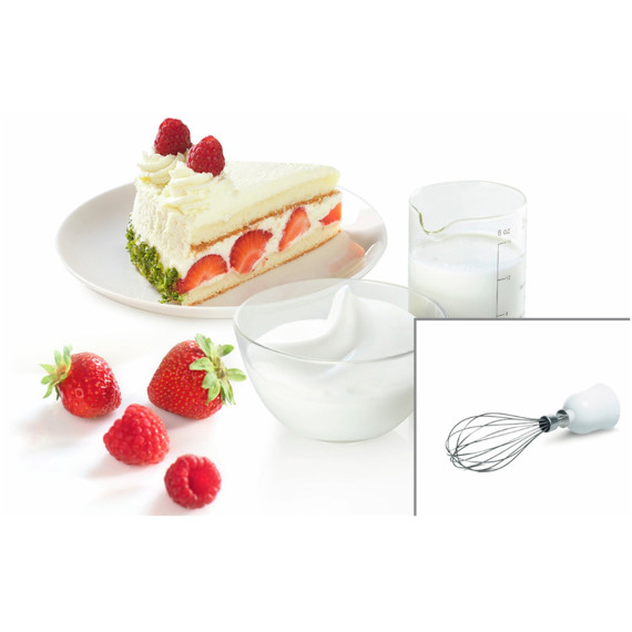 hand blender BOSCH MSM24500