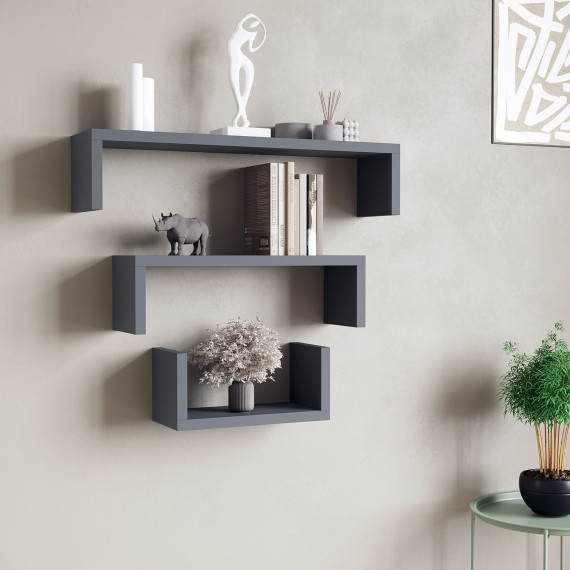 shelve VEGA EX-B77 0164 (1)