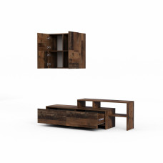 tv unit VEGA TV MODULE X36 BS 580 (4)