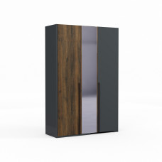 платяной шкаф HOBEL EX-C100 B ORMA 215/ORMA 075/0164 (6)