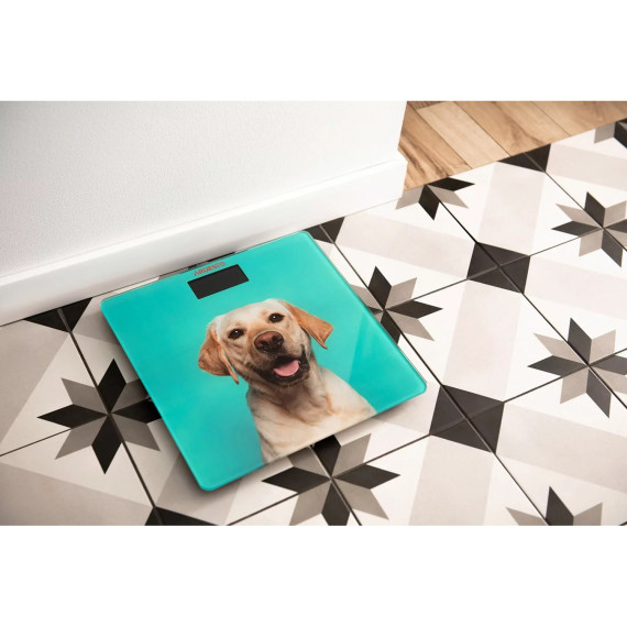 სასწორი ARDESTO SCB-965DOG