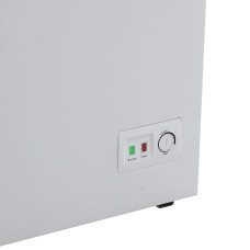 chest freezer BERG BCF-D302WL