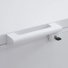 chest freezer BERG BCF-D302WL