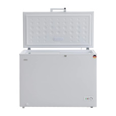 chest freezer BERG BCF-D302WL